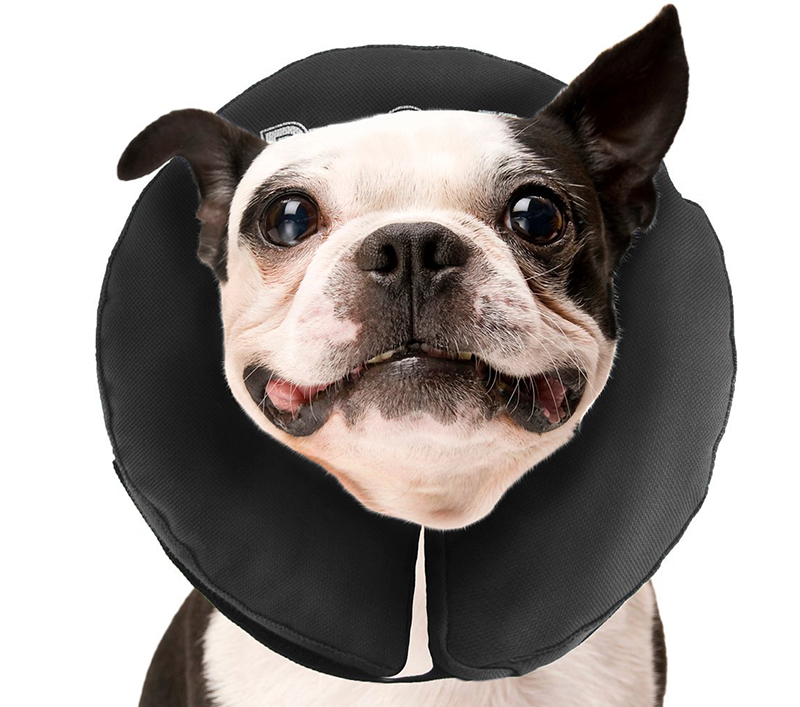 dog cone cushion