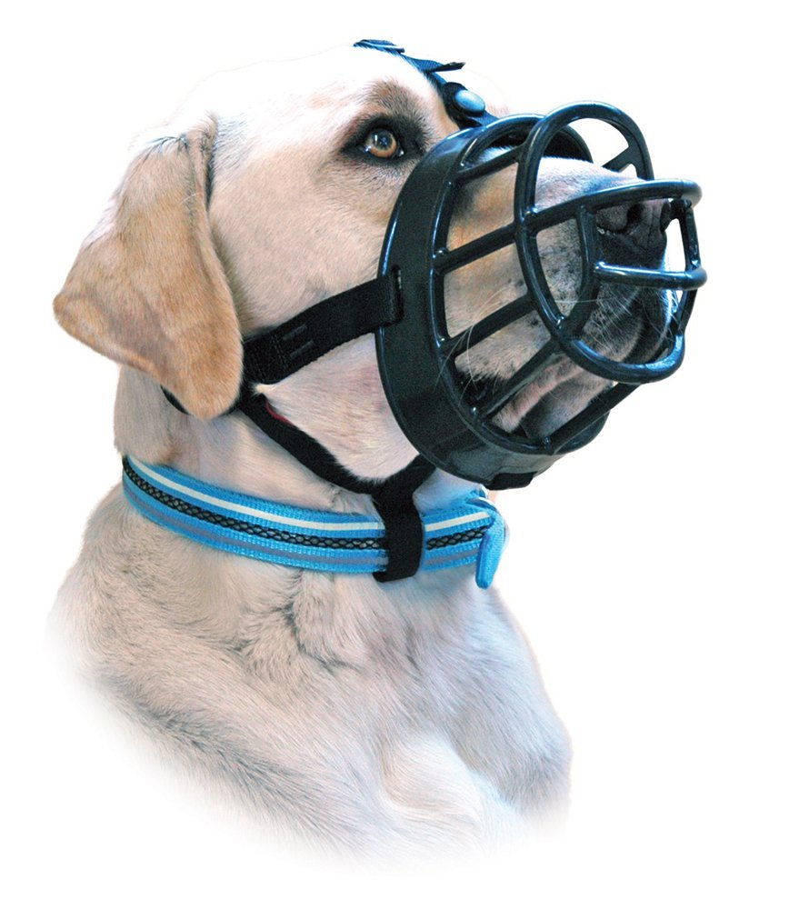 anti scavenging muzzle