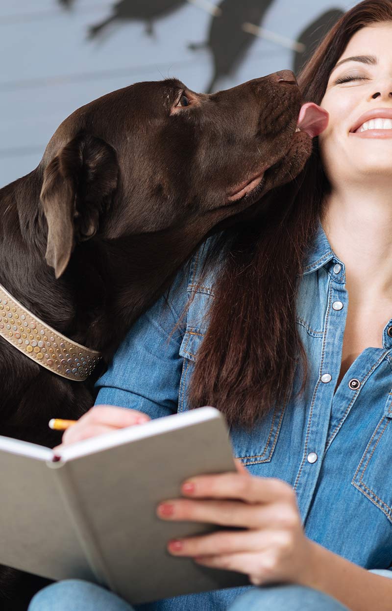 My Dog Won't Leave Me Alone - How To Manage Attention Seeking Dogs