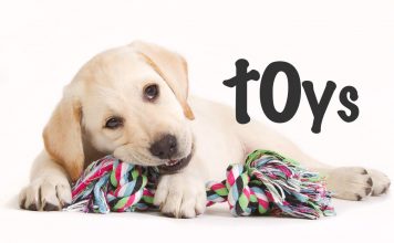 dog toys for labs