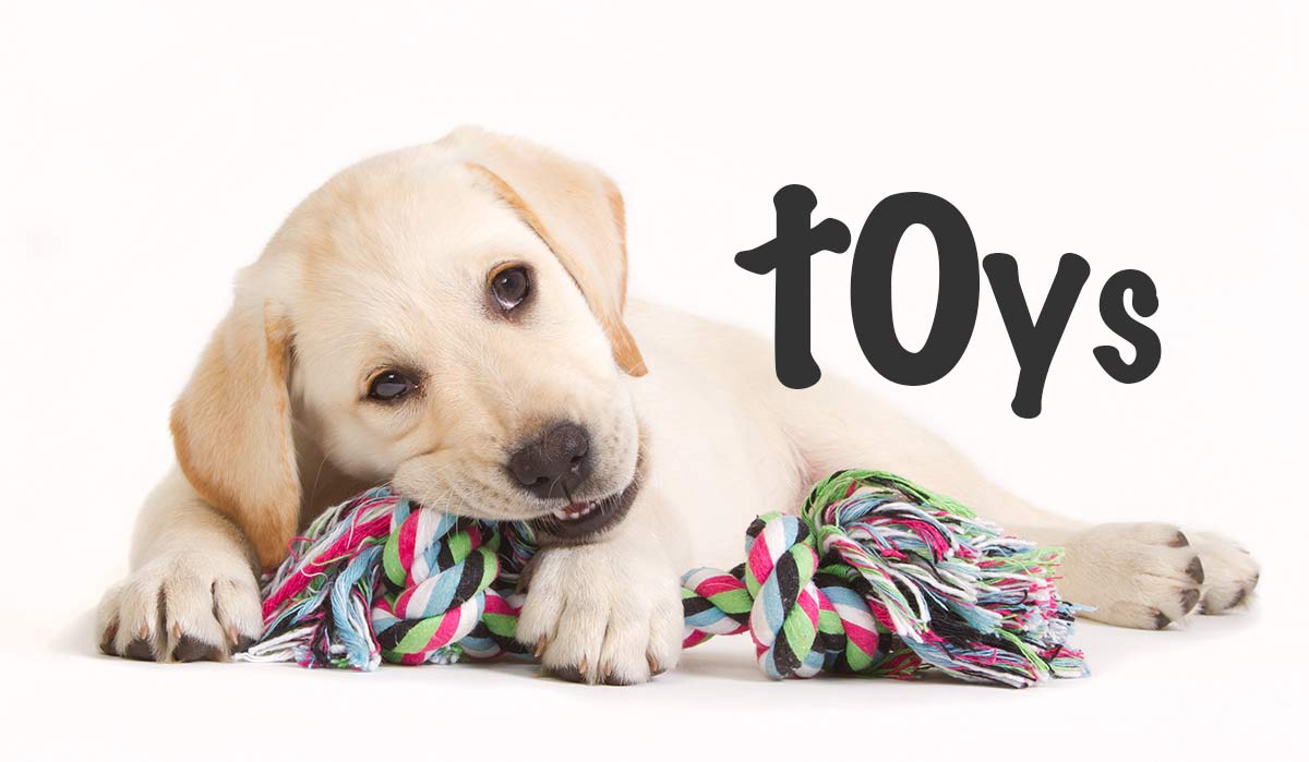 best lab puppy toys