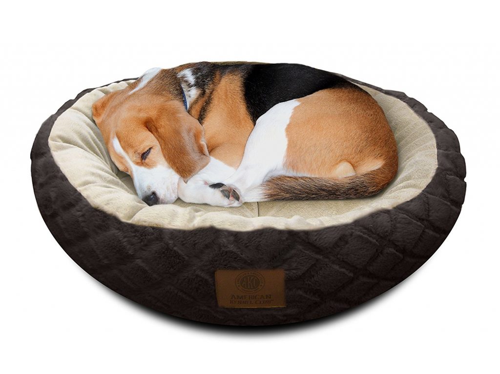 The 30 Best Large Dog Beds For Your Large Breed Dogs