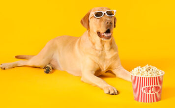 can dogs eat popcorn