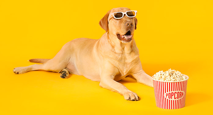 can dogs eat popcorn