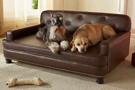 dog beds for labrador