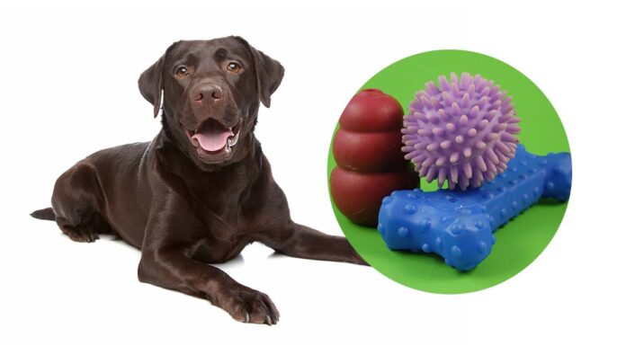 best interactive dog toys uk