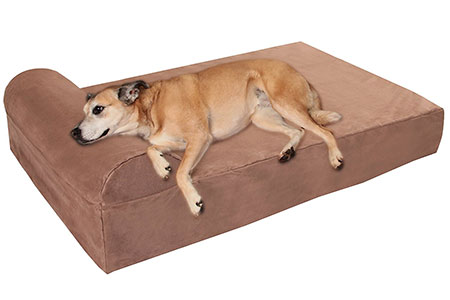 Our Favorite Big Dog Beds Perfect For Labs And Other Large