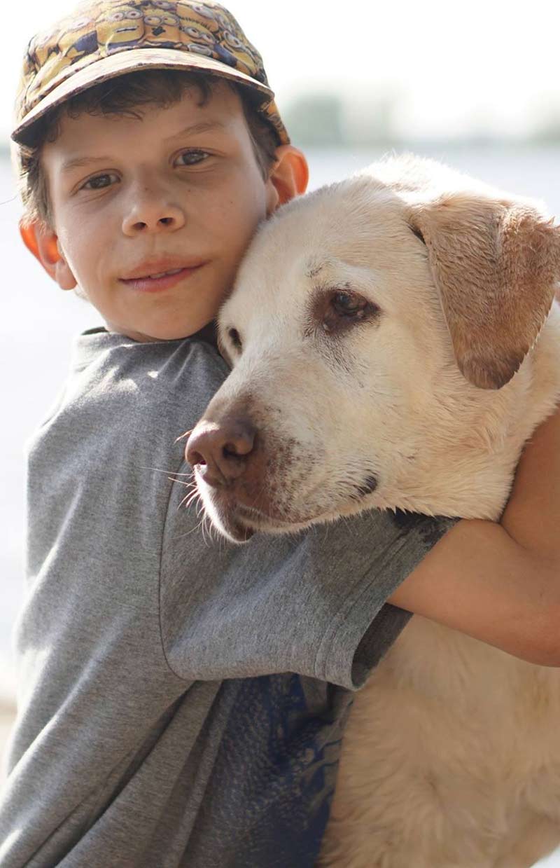 labrador and kids