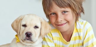 Dogs and kids - how to play safely with a dog