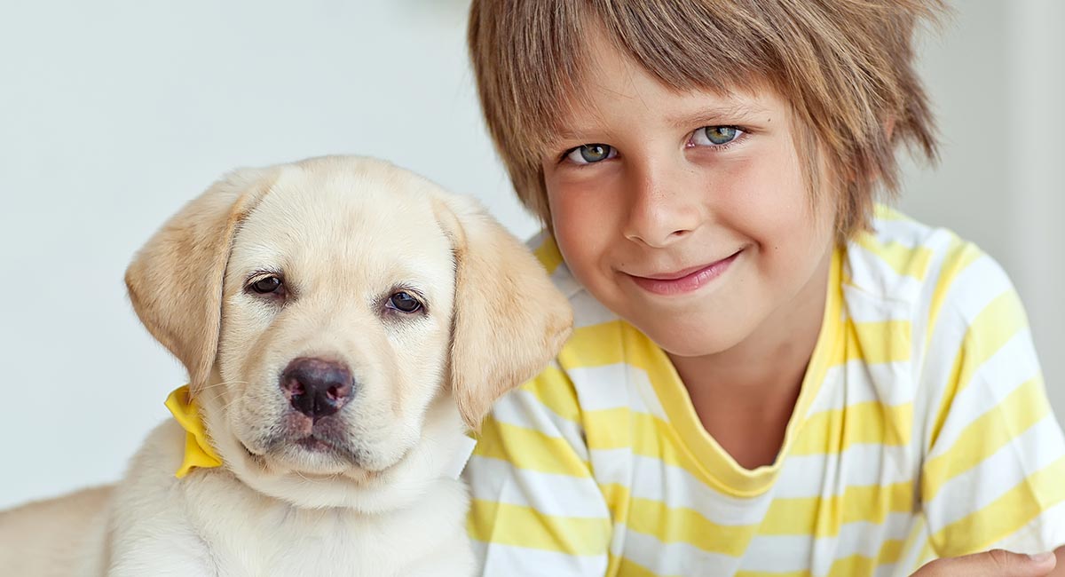 labrador and kids