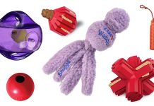 Best Kong Dog Toys For Labradors And Other Large Breeds