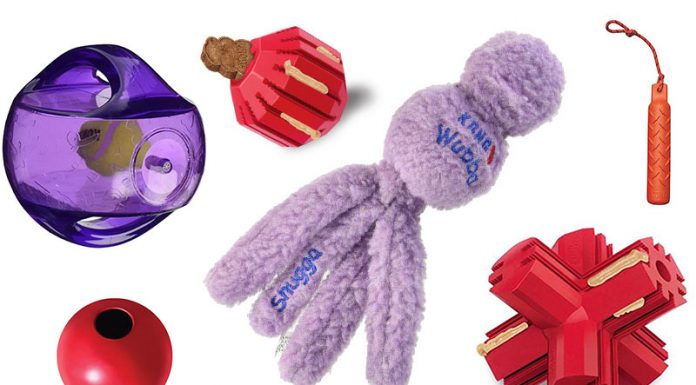 kong chew toys for puppies