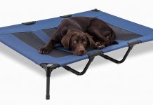 Best dog bed for hot sale lab