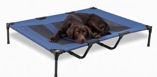 raised dog bed