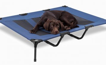 raised dog bed