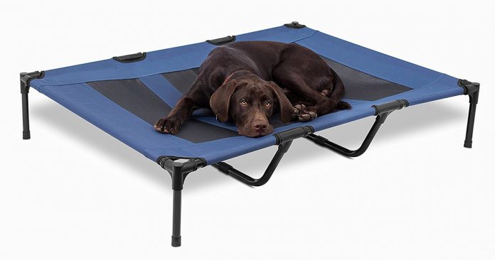 raised dog bed