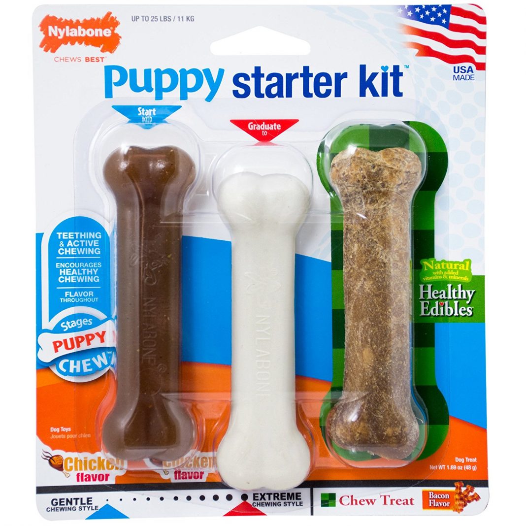 The Best Puppy Toys For Lab Puppies That Love To Play