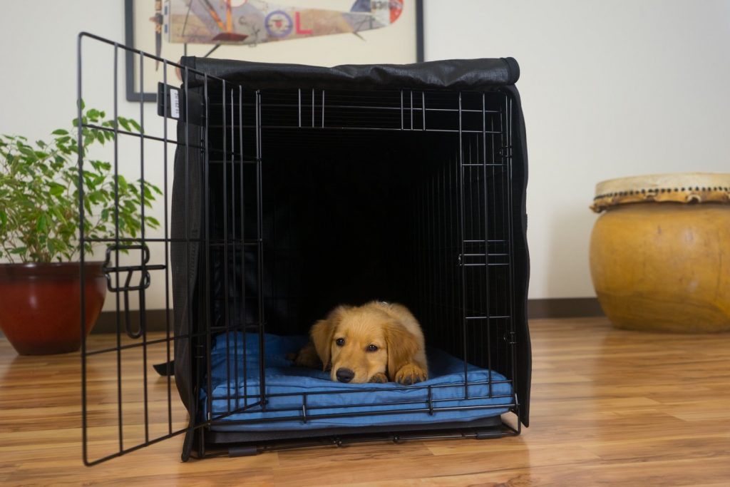 The Best Dog Crate Covers Reviews And Top Choices
