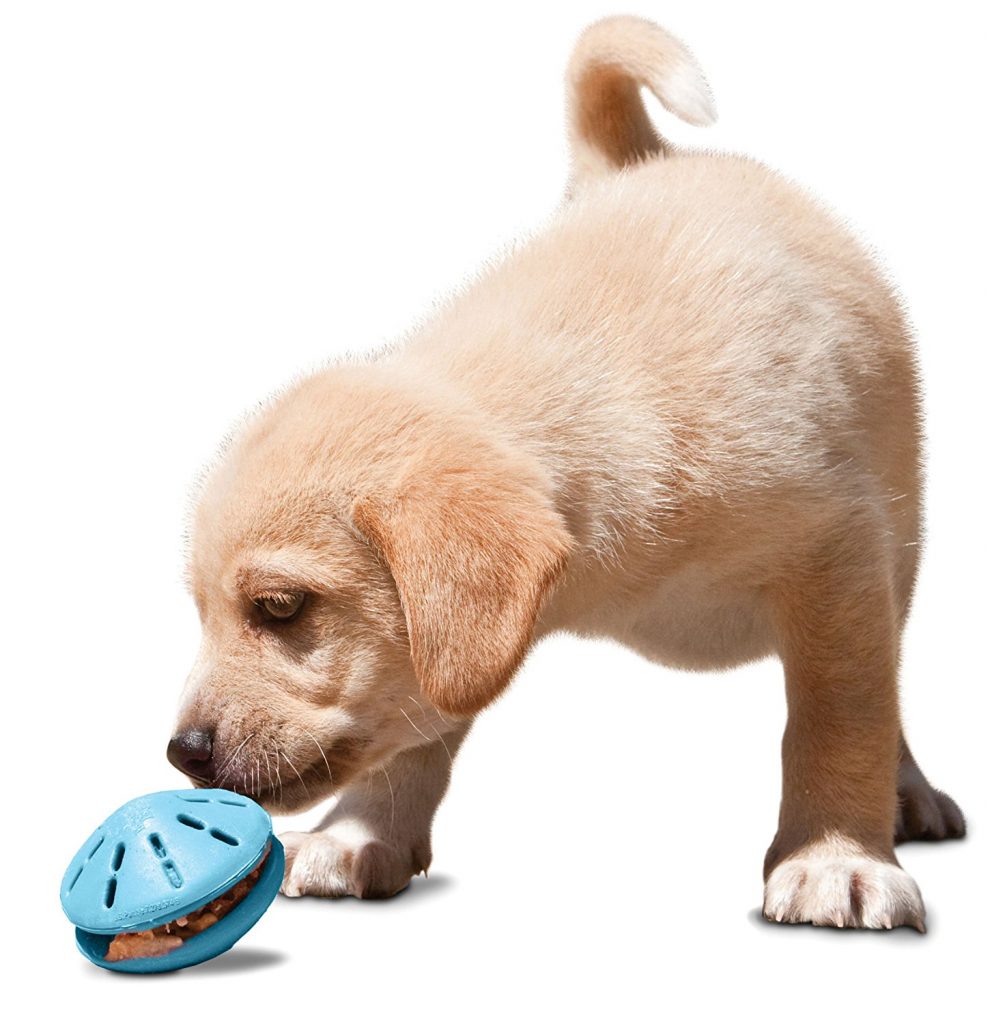 Best Dog Puzzle Toys - The Top Choices Reviewed