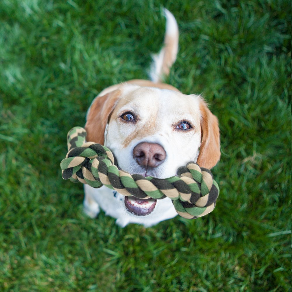 indestructible dog toys for american bulldogs