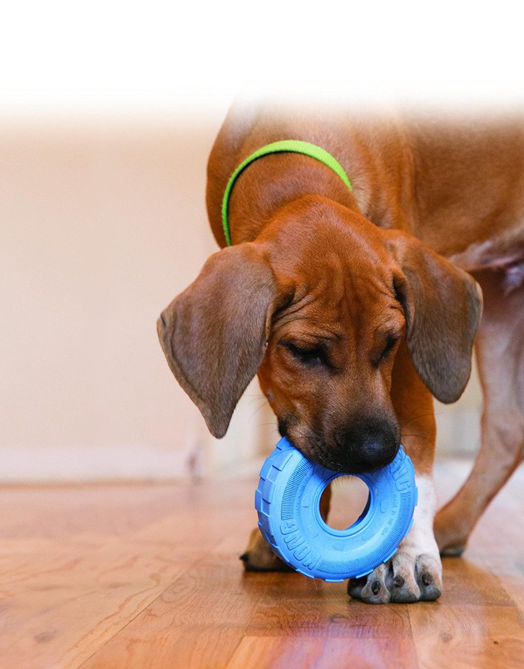 The Best Puppy Toys For Lab Puppies That Love To Play