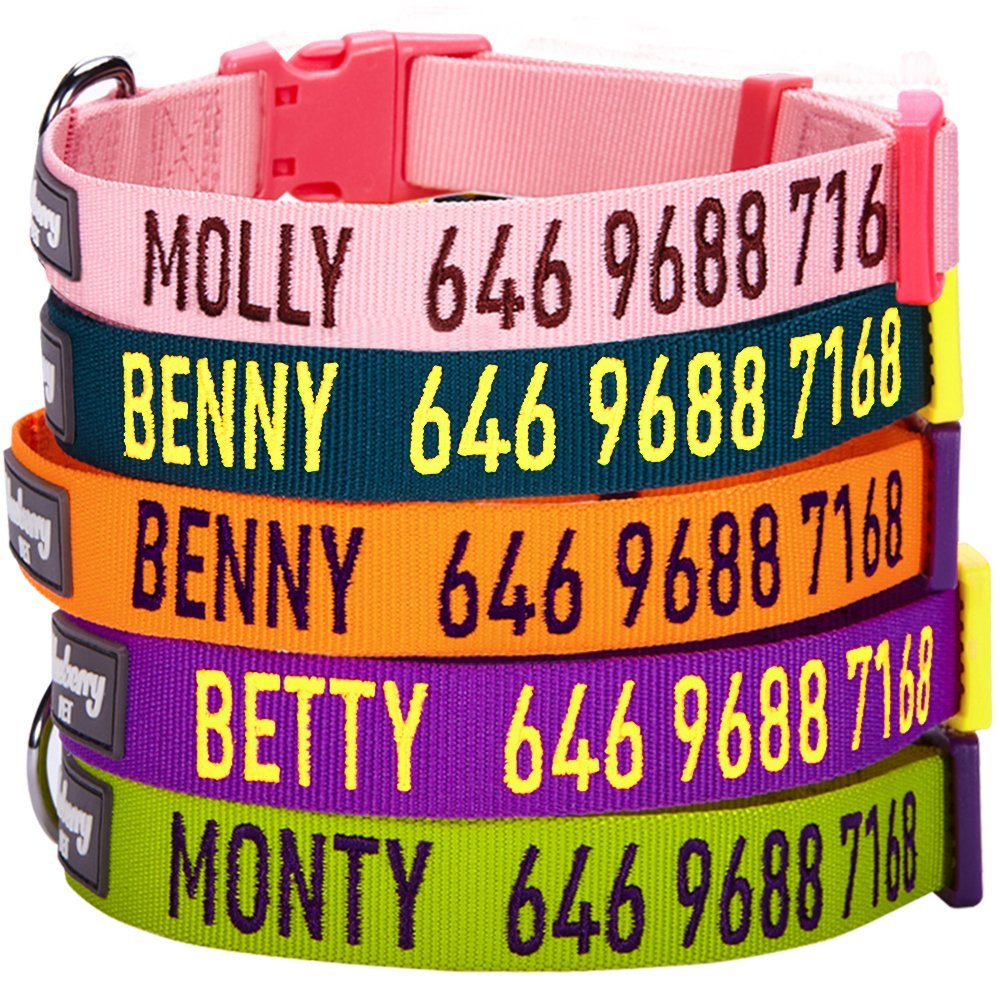 The Best Personalized Dog Collars For Your Puppy Or Adult Dog