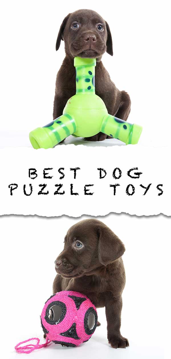 best puzzle toys