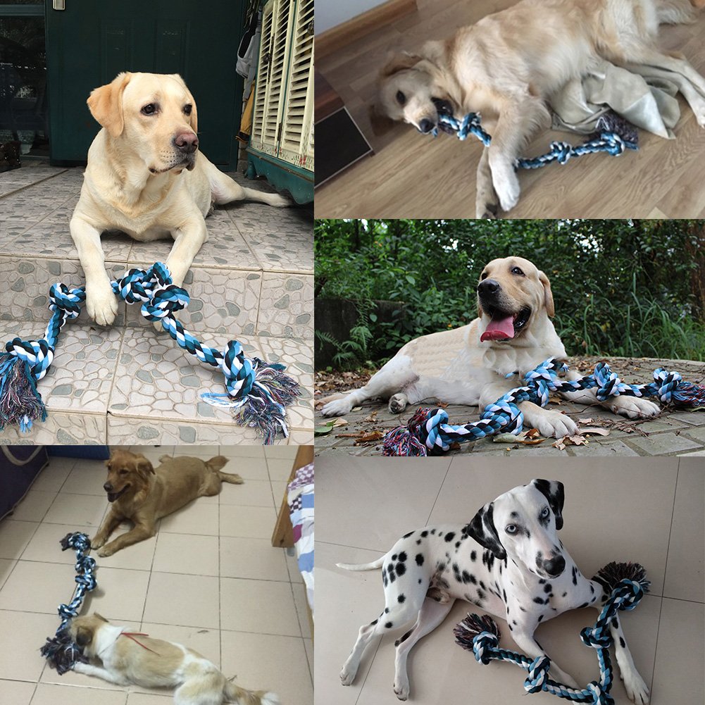 unbreakable dog rope