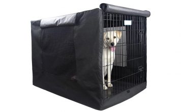 Dog All Of The Sudden Barking In Crate Dog All Of The Sudden Barking In Crate