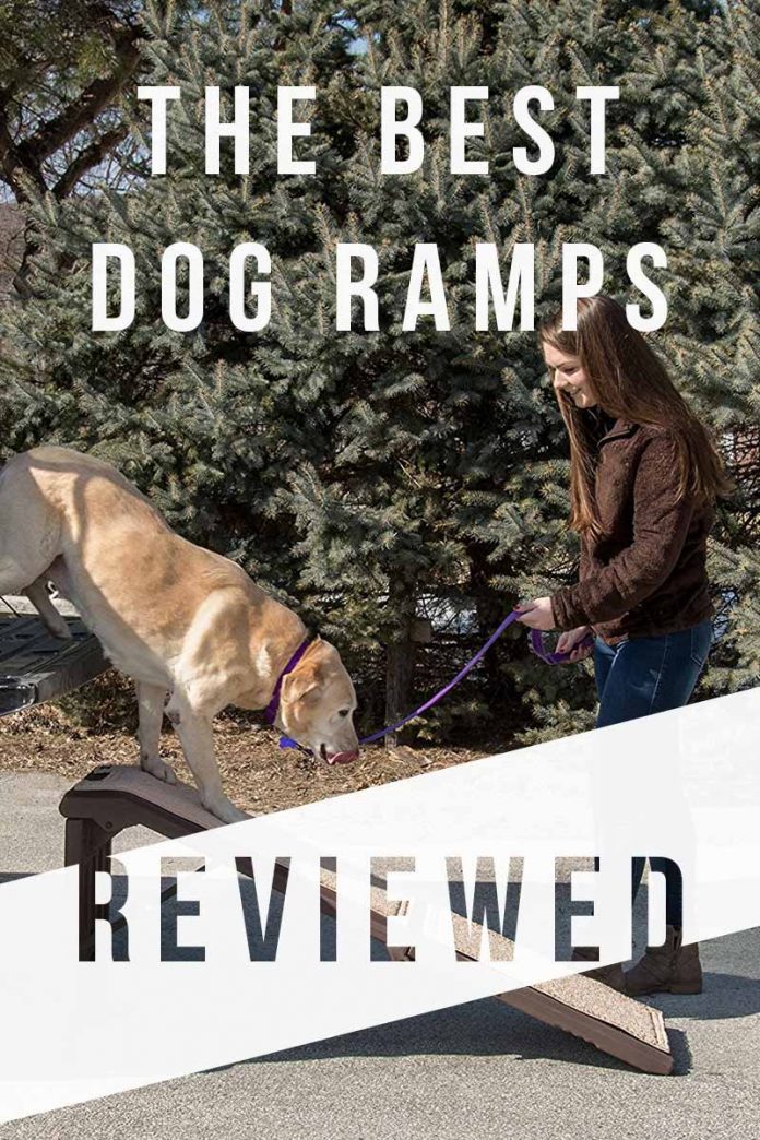Best Dog Ramp Reviews of Dog Ramps For Car, Bed, Stairs and More