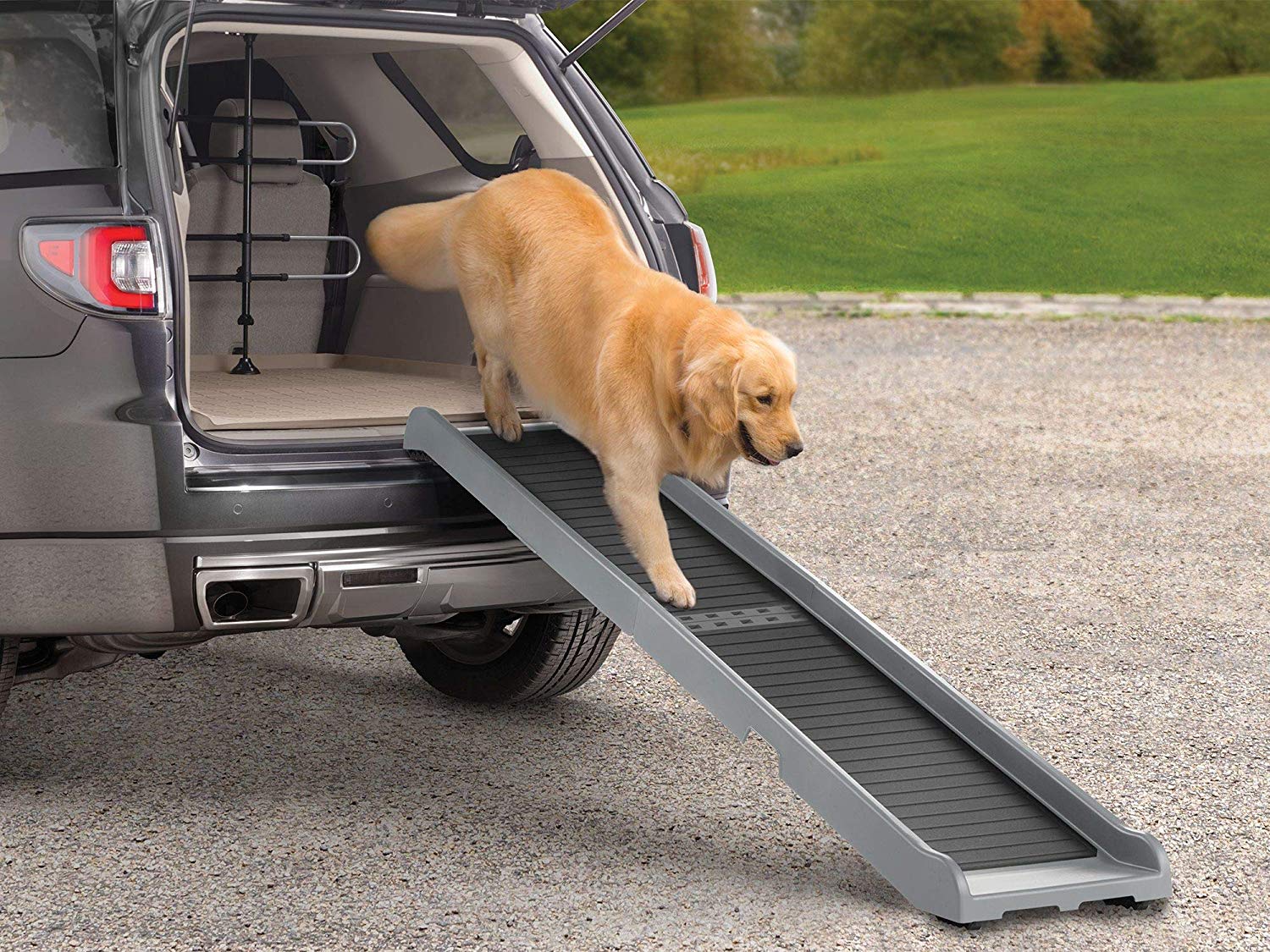 Best Dog Ramp Reviews of Dog Ramps For Car, Bed, Stairs and More