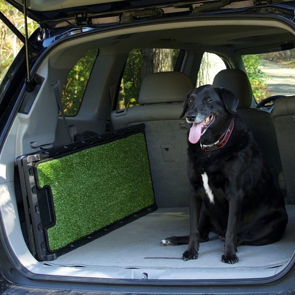 Transport Stretcher For Dogs Emergency Animal Carrier With Safety Strap 113 4 Kg Weight Limit Pet Stretcher G 601099522738826
