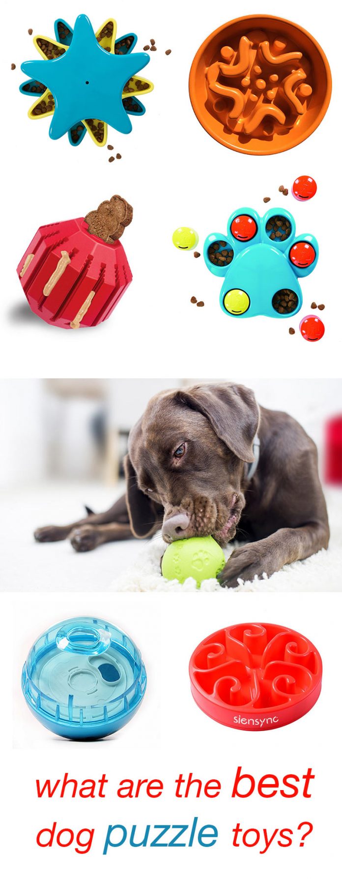 Best Dog Puzzle Toys The Top Choices Reviewed