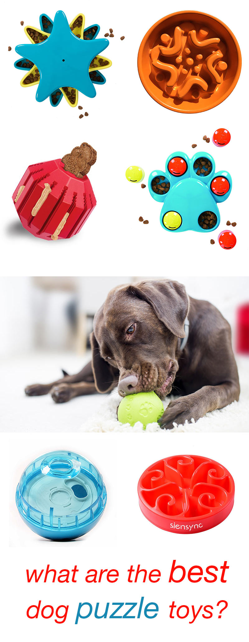 best dog puzzle toys