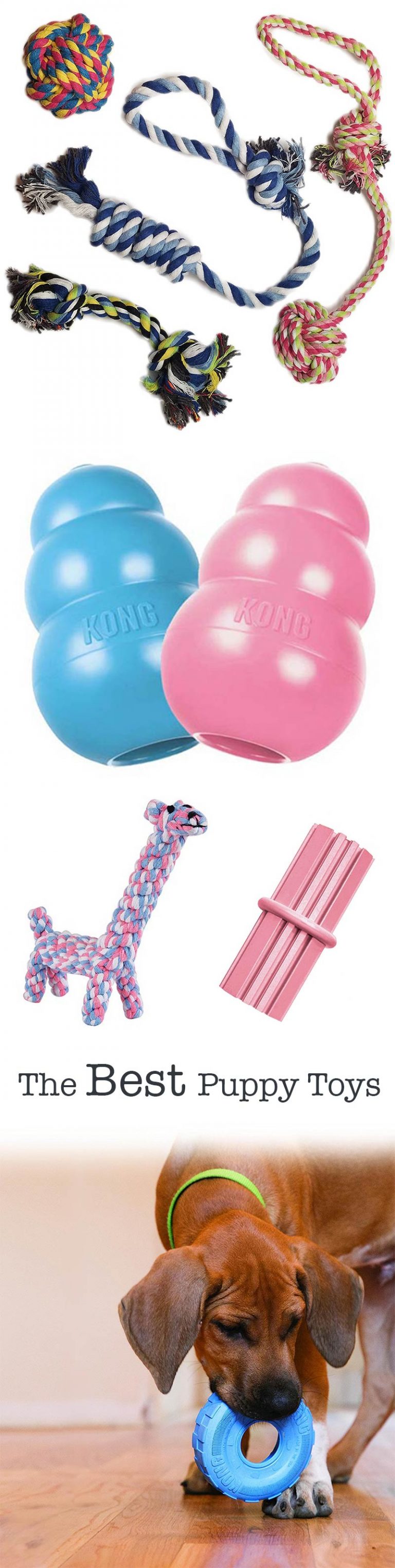The Best Puppy Toys For Lab Puppies That Love To Play