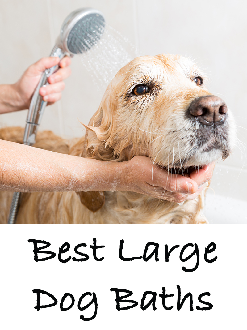 best large dog baths