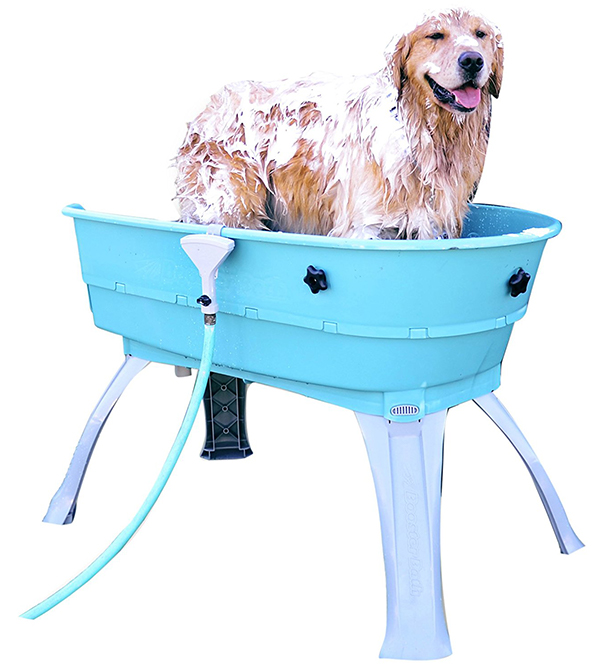 Best Dog Pools For Labradors and Other Large Breeds