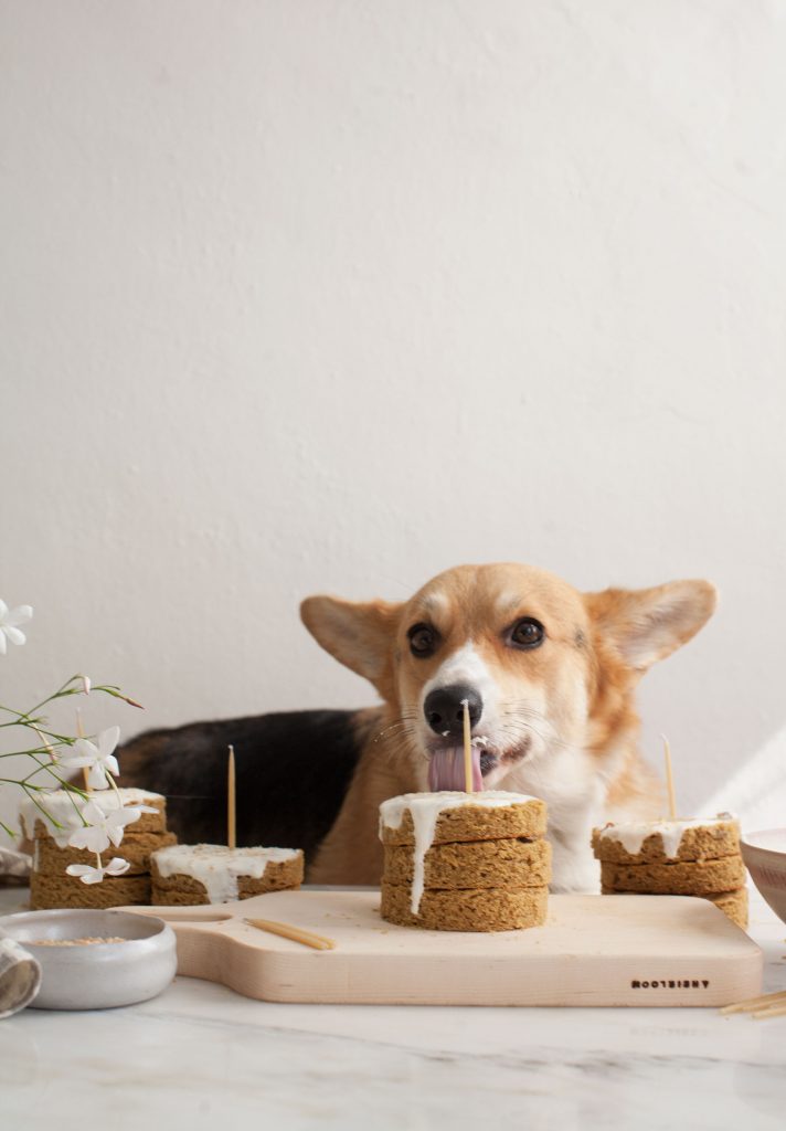 Best Grain Free Dog Birthday Cake