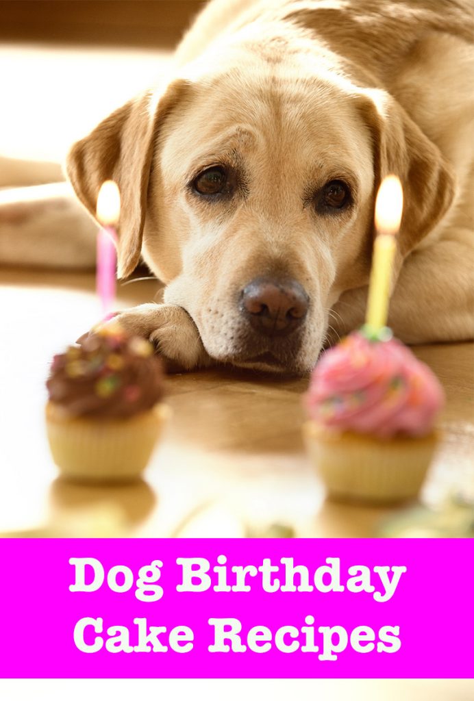 Dog Birthday Cake Recipes - From Easy To Fancy Bakes