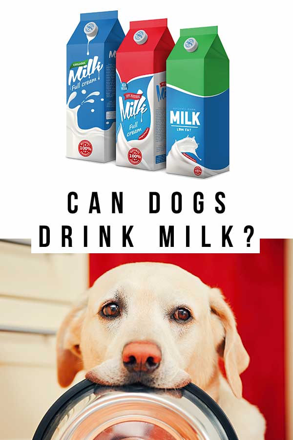 when should puppies stop drinking milk