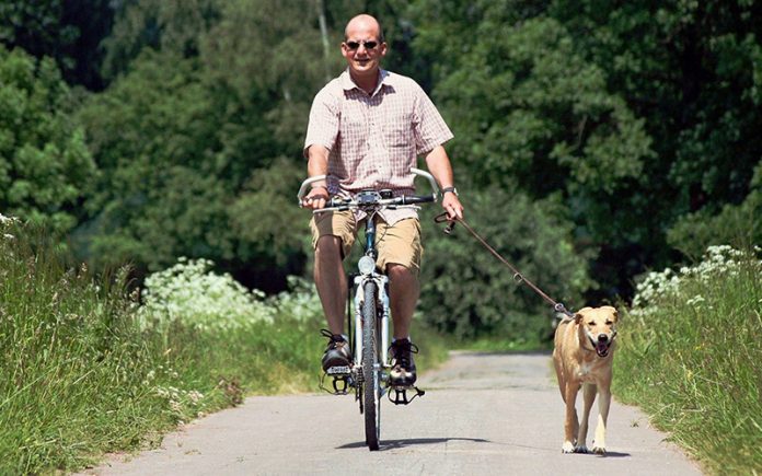 biking with dogs