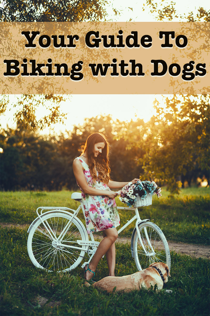 biking with dogs