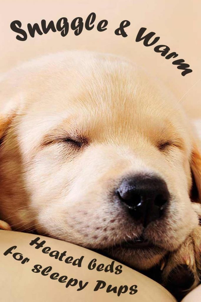 Best Heated Dog Bed Options your ultimate review guide