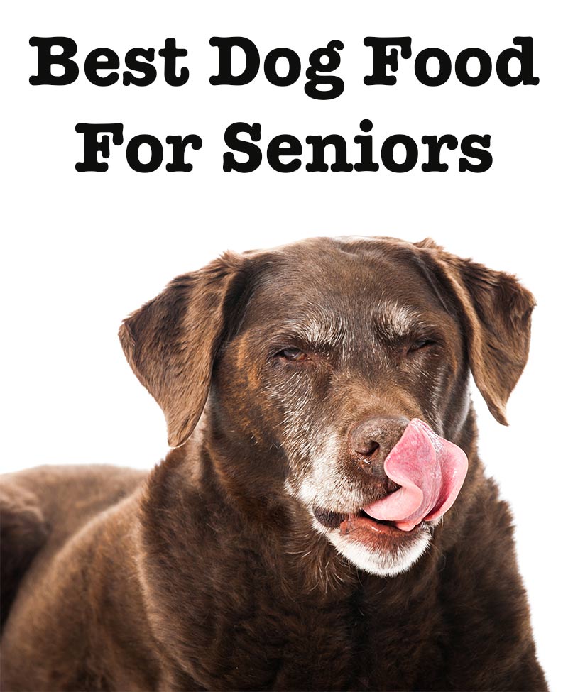 best dog food for seniors