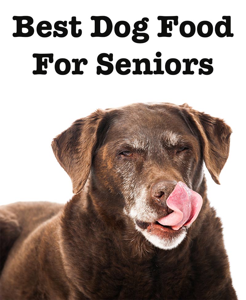 best dog food for middle aged dogs