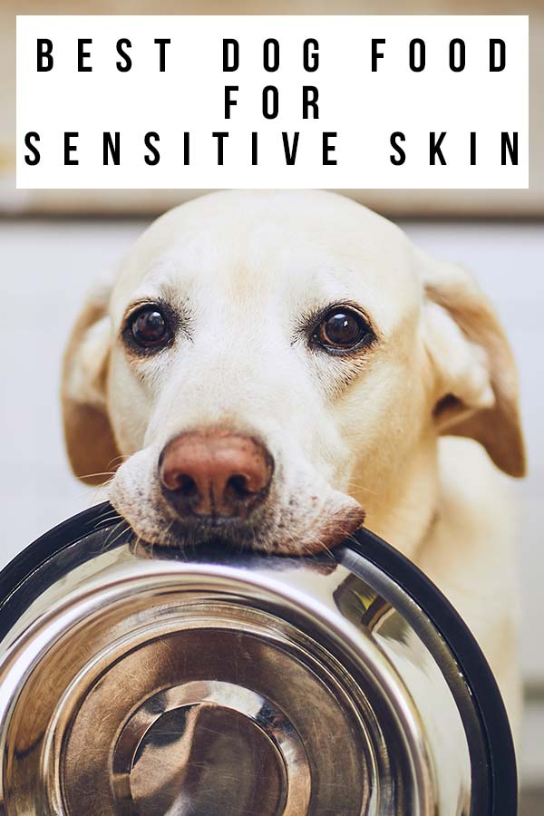 Best Dog Food For Sensitive Skin - Top Brands Reviewed