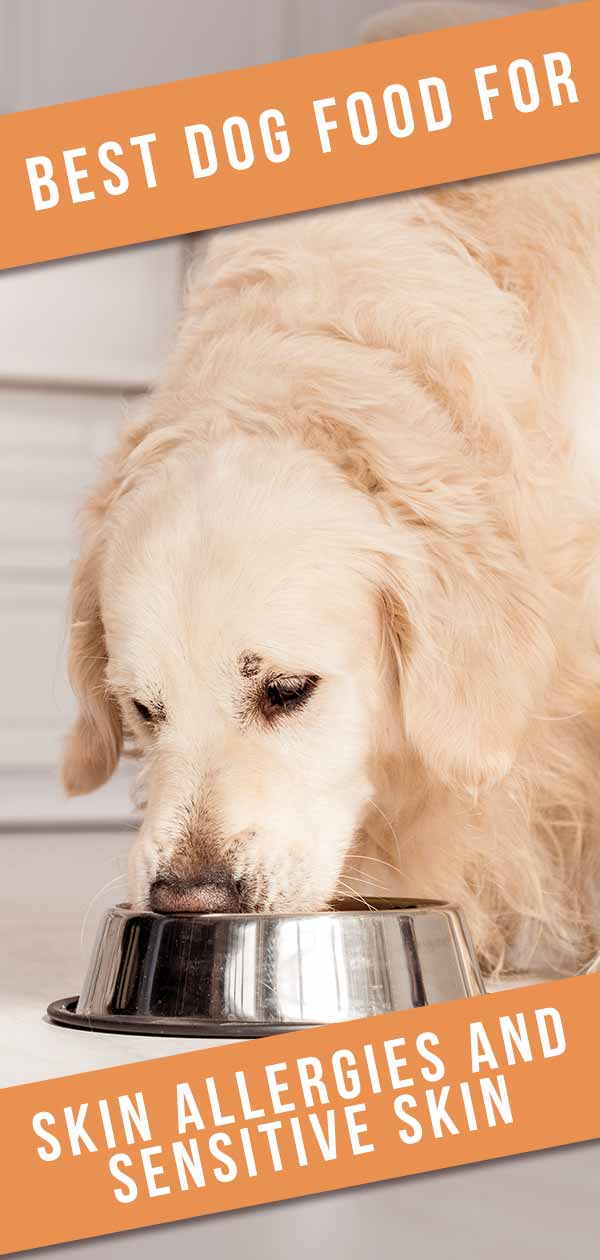 Best Dog Food For Skin Allergies And Sensitive Skin HP tall