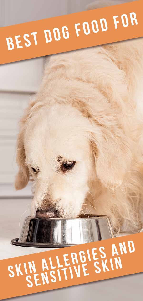 best dog food for allergic dermatitis