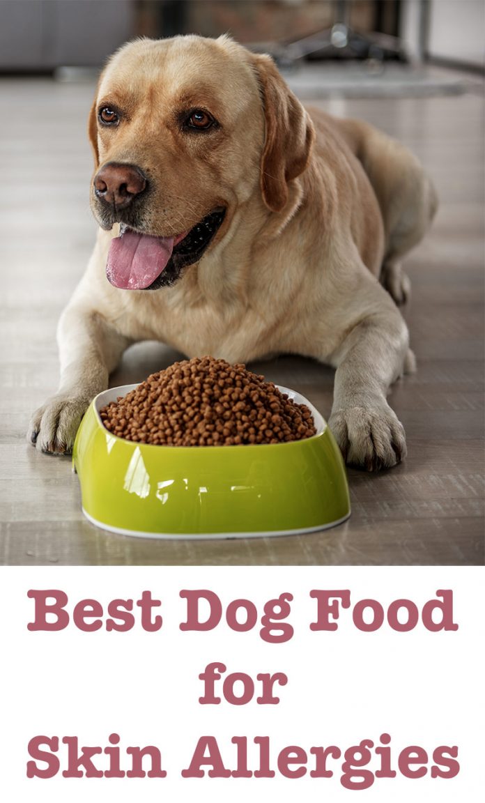 Best dog food for skin allergies in puppies dogs and seniors