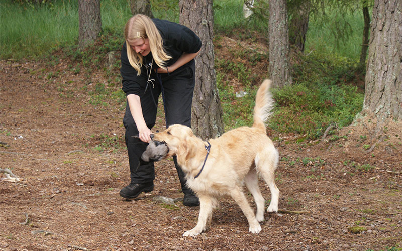 Clicker Training Fetch - The Clicker Retrieve